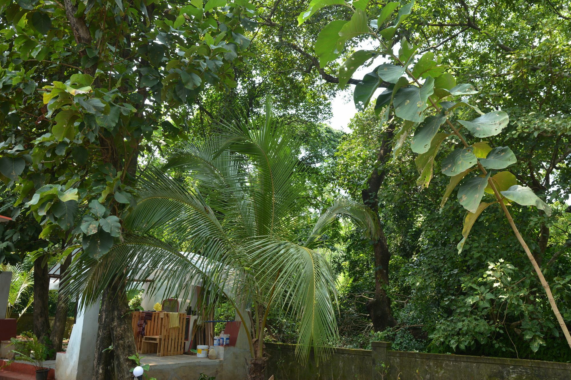 Folklore Hostel Goa Vagator Dış mekan fotoğraf